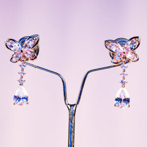 Butterfly Shape Earing with Stone
